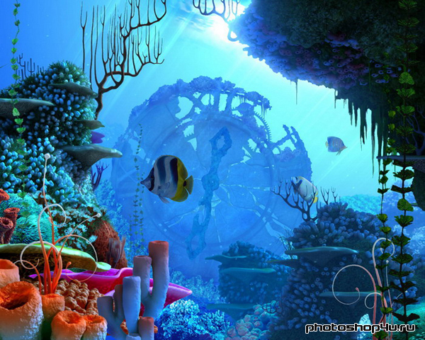 Фото Подводный мир