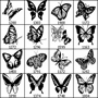 Бабочки 2
