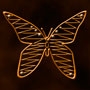 Тело бабочки