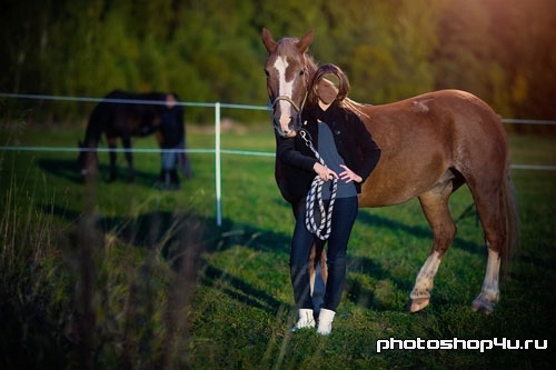 Женский шаблон для фотошоп - в поле с лошадью