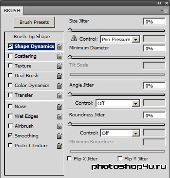 Shape Dynamics (Динамика формы) кисти