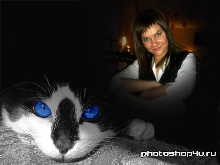 Шаблон для фото - кошка с голубыми глазами