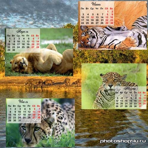 Календарь на год - сафари