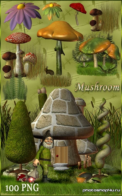 Клипарт - Цветы, грибы и Гномы