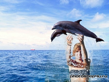 Рамка для фотошопа - дельфины