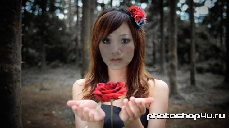 Шаблон для photoshop - С красной розой