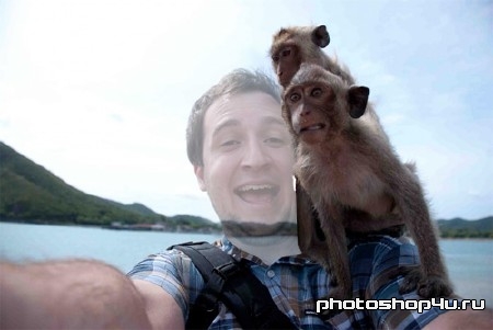 Шаблон для photoshop - Смешная фотка с приматами