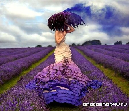 Шаблон для фотошопа - Девушка в миловидном поле из лаванды