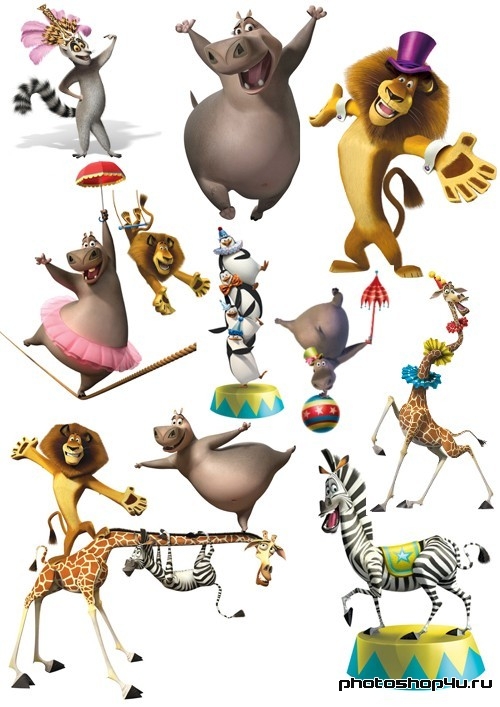 Подборка отрисованных персонажей мультфильма «Мадагаскар 3» на белом фоне
