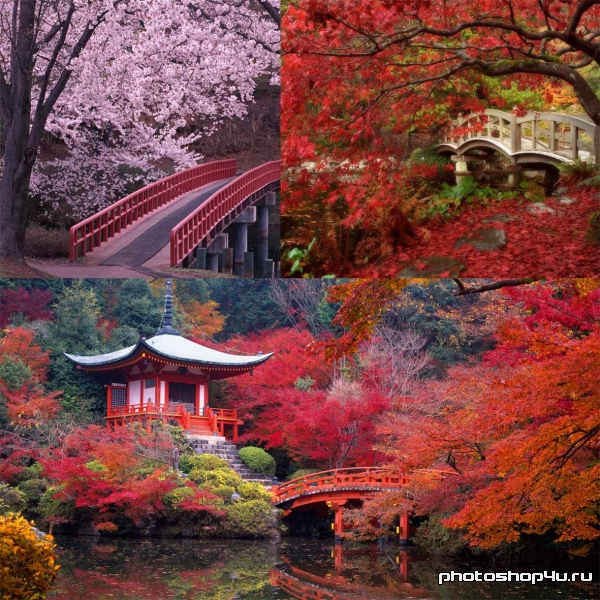 Китай и Япония – восхитительные пейзажи!