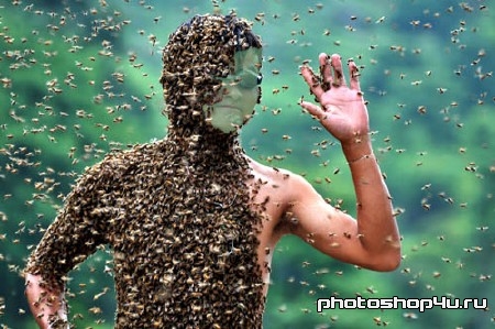 Шаблон для фотомонтажа - В окружении пчел