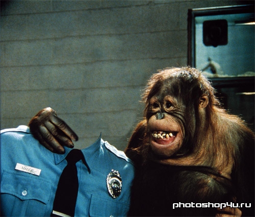 Шаблон для фото - В форме полицейского с обезьяной