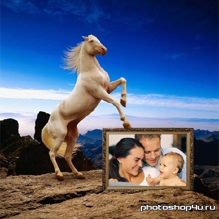 Рамка для фотографии - Белая лошадь на прекрасном фоне