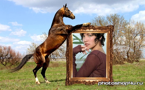 Рамка для фото - Конь держит ваше фото