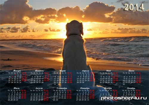 Календарь на 2014 год - Собака на берегу любуется закатом