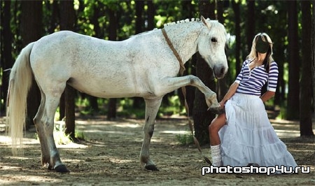 Шаблон psd женский - Фотография с красивой лошадкой