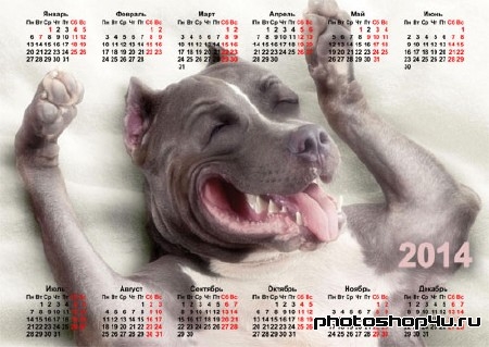Календарь 2014 - Юморная собака
