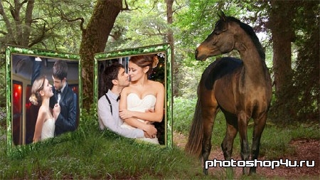 Рамка для фотошопа - Лошадь смотрит на вас