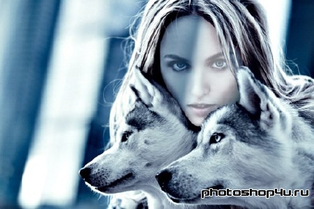  Фотосессия с двумя волками - женский шаблон 