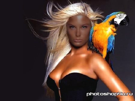  Шаблон psd - Блондинка с большим попугаем 