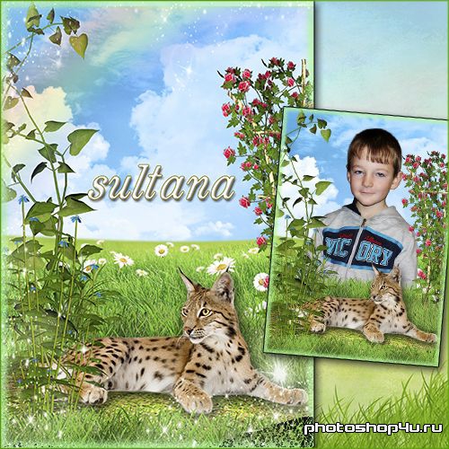 Детская рамка для фотошопа - Рысь на лужайке