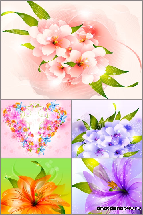 Набор цветочных фонов в векторе 3