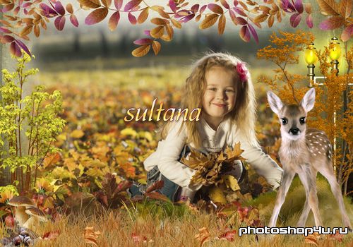 Осення рамка для фотошопа - Золотая осень в лесу