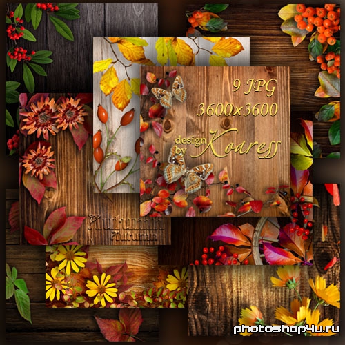 Набор осенних фонов для дизайна с цветами, ягодами, листьями на деревянном фоне