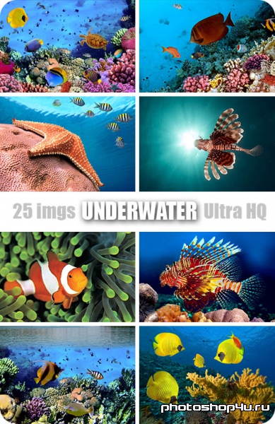 Underwater | Подводный мир - Высококачественный растровый клипарт с фотостока