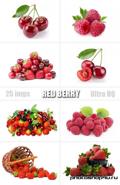 Red Berry | Красная ягода - Высококачественный растровый клипарт с фотостока