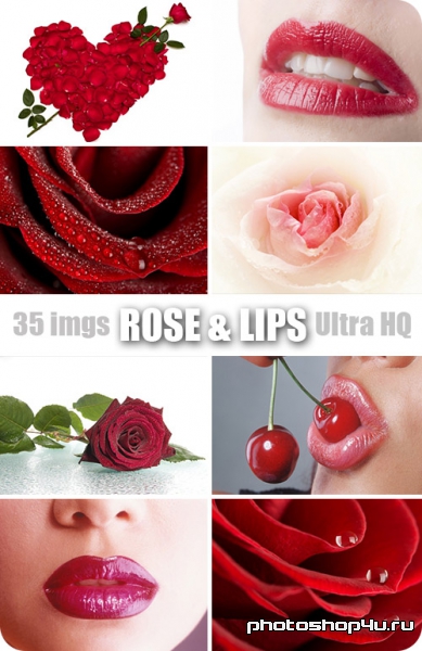 Rose & Lips | Розы и Губы - Высококачественный растровый клипарт с фотостока