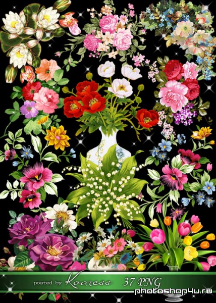 Нарисованные цветы, букеты и цветочные композиции на прозрачном фоне