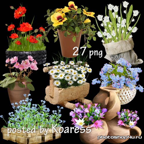 Клипарт для дизайна - Садовые и комнатные цветы в корзинах, вазонах, горшках