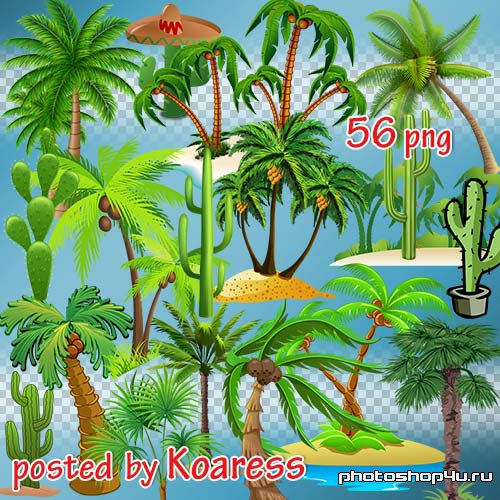 Png клипарт для фотошопа - Нарисованные пальмы и кактусы