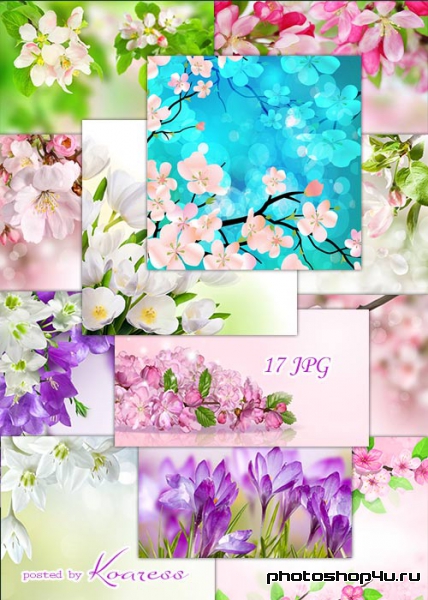 Подборка jpg фонов для дизайна - Весенние цветы