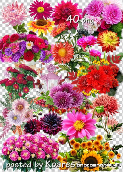 Клипарт png - Осенние цветы, букеты, композиции с цветами